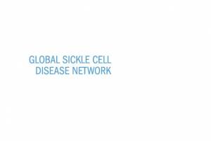 3ème Congrès du Réseau mondial de lutte contre la drépanocytose