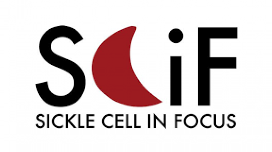 Sickle Cell in Focus conference 2019