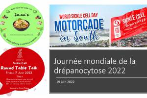 Journée mondiale de la drépanocytose 2022