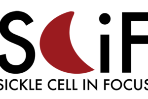 Sickle Cell in Focus (SCiF) conference:               15th edition